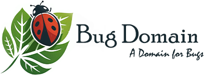 Bug Domain